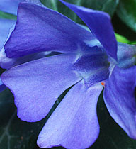 BYĆ CZŁOWIEKIEM (1)